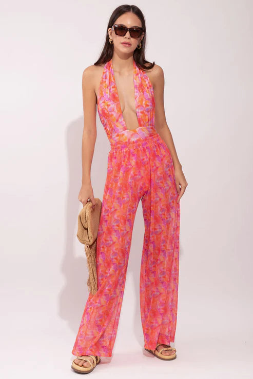 One Piece Taylor